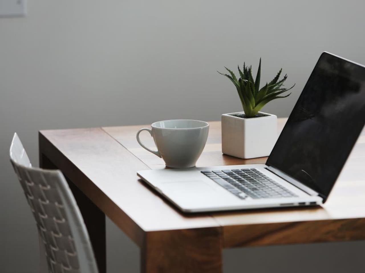 A desk with a plant and a mug