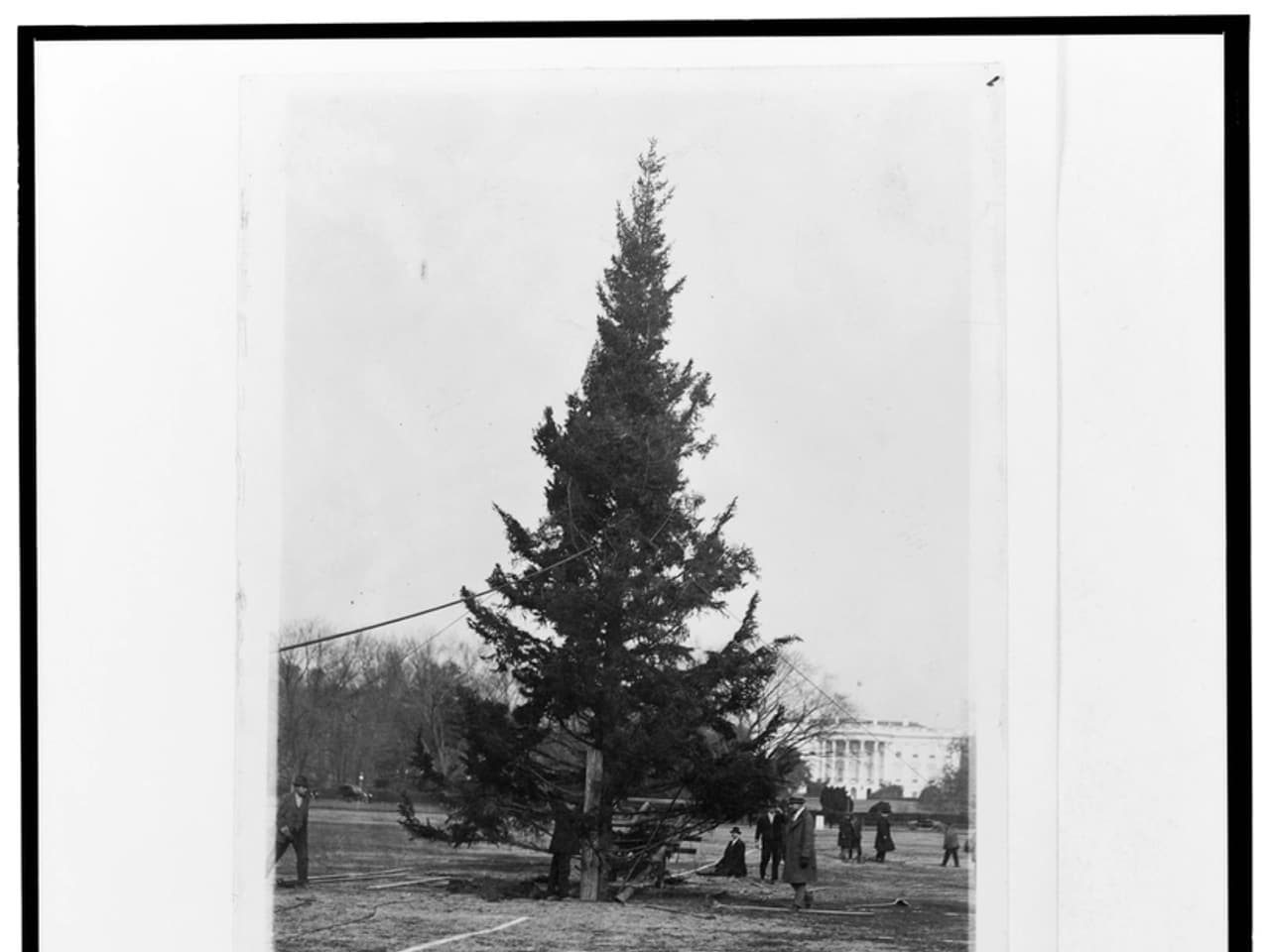 A Christmas tree with presents beneath it
