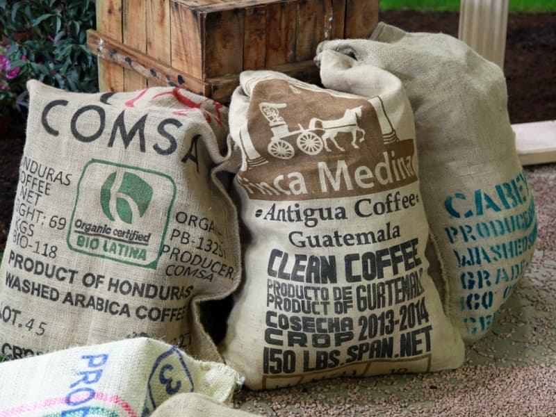 Bags of whole-bean coffee on a light table