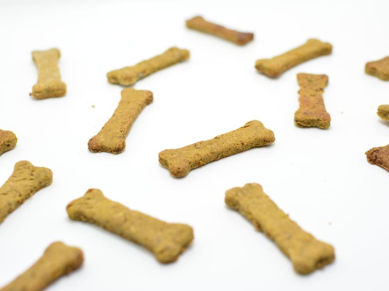 Dog treats in a bowl