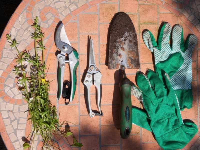 Garden pruning shears on soil